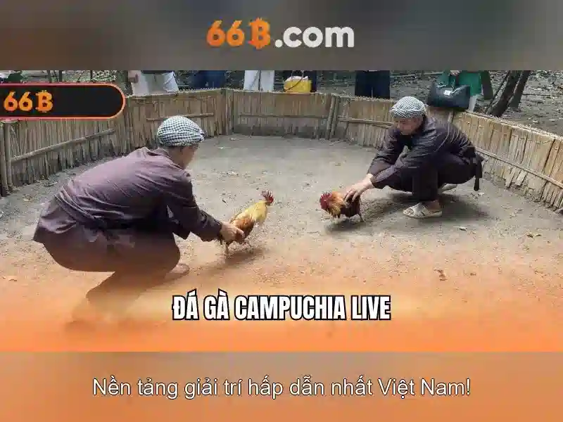 66b: Mô hình AI quy mô lớn với 66 tỷ tham số