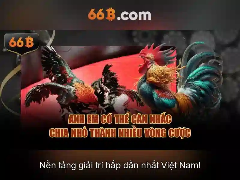 66b: Mô hình ngôn ngữ lớn cho thời đại AI