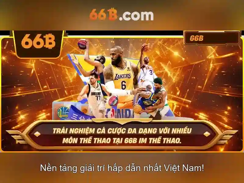 66b: Định nghĩa và ảnh hưởng