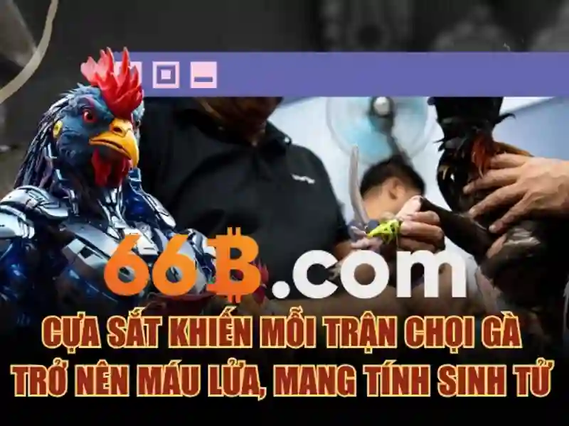 66b thuốc bắc huong phat trien va tầm nhin