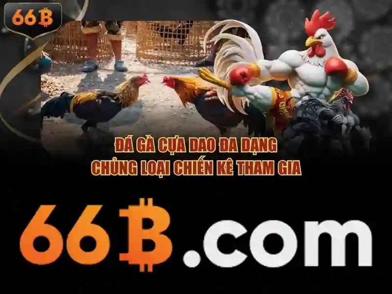 giao dịch 66b – Khám phá giá trị và ứng dụng