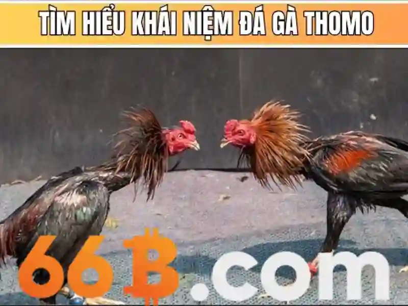 66B và những khía cạnh nền tảng