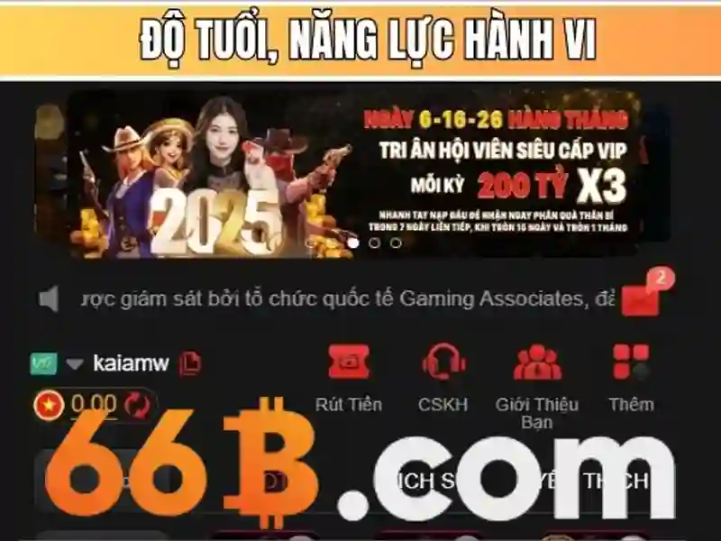 Giao dịch 66b: Xu hướng và trải nghiệm 66b triều khúc