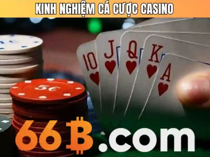 Khả năng ứng dụng và giới hạn