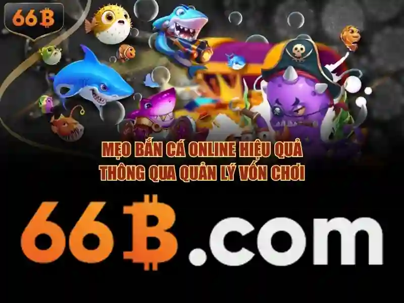 Giới thiệu về 66B