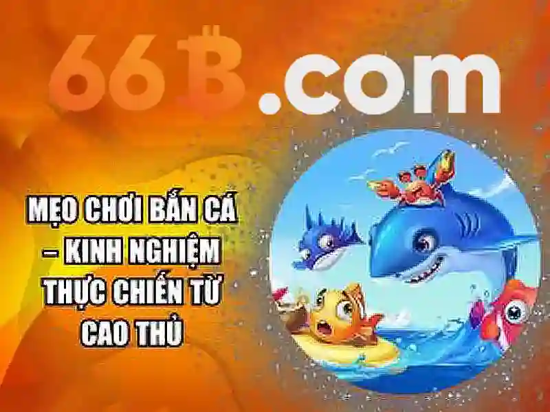 66b nguyễn sỹ sách p 15 q tân bình – chủ đề tổng quan và giá trị cốt lõi