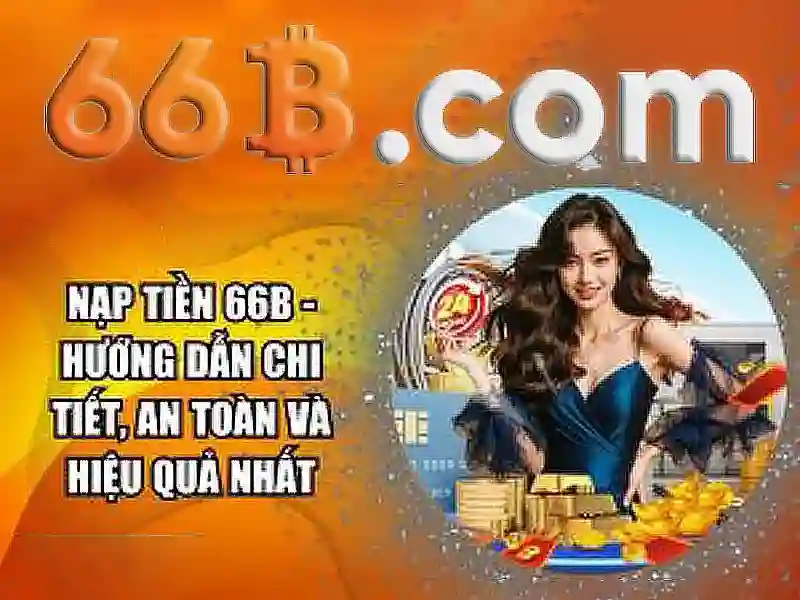 Hướng dẫn sử dụng 66B