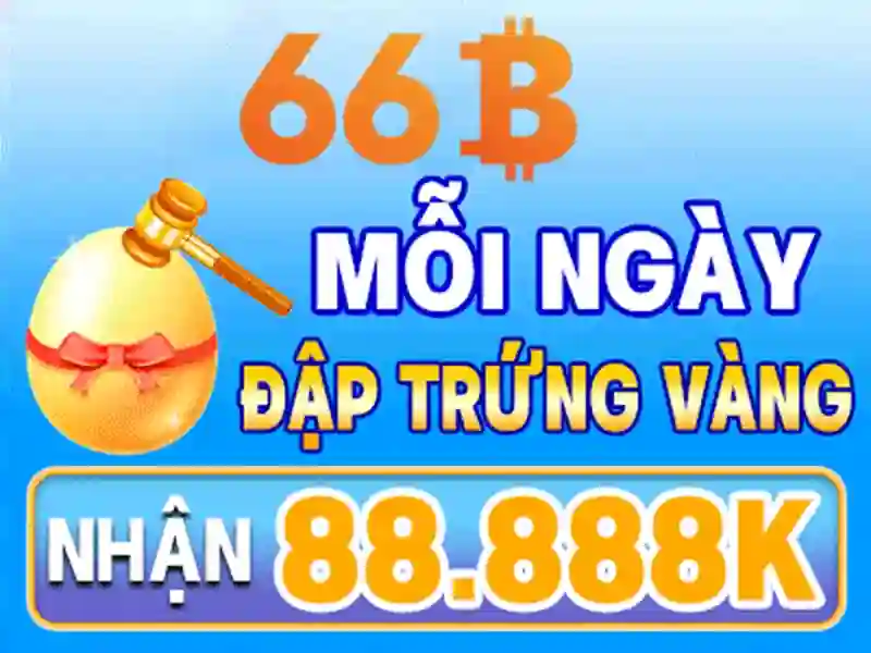 66B là gì