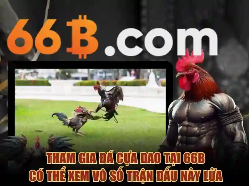 Những sản phẩm và dịch vụ chủ đạo: Ứng dụng thực tế của lô đề 66b