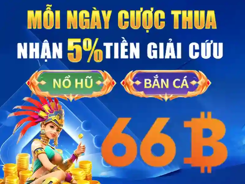 66b: hiểu biết và ứng dụng