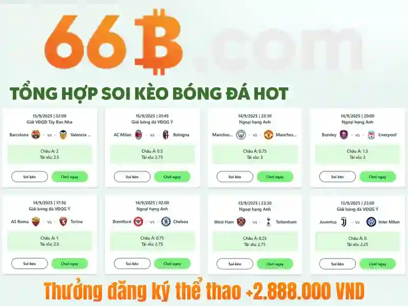 Giao dịch 66b: Định hình thị trường số và cơ hội mới