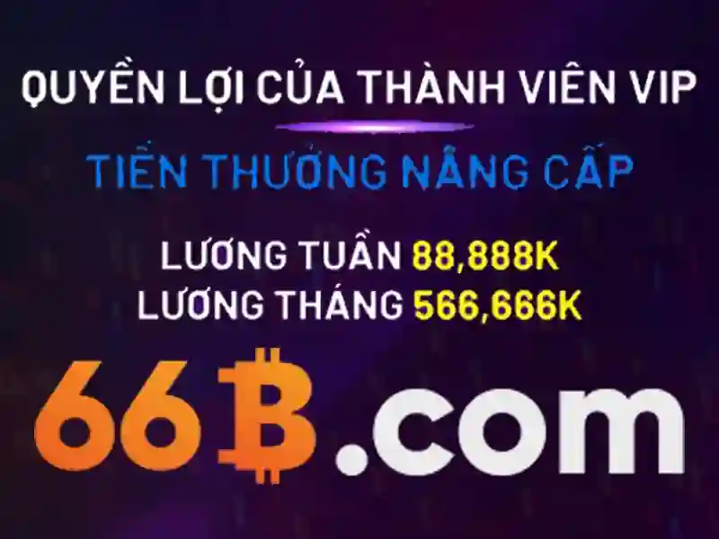 66b trong đời sống